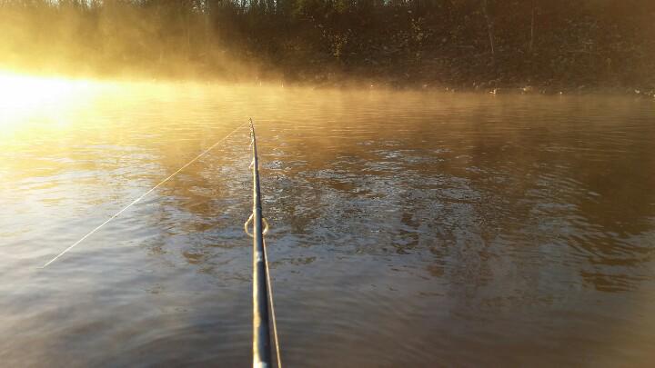 mastiff29's tweet photo. A little cool this morning but totally worth it. http://t.co/NGdGBrGbRk