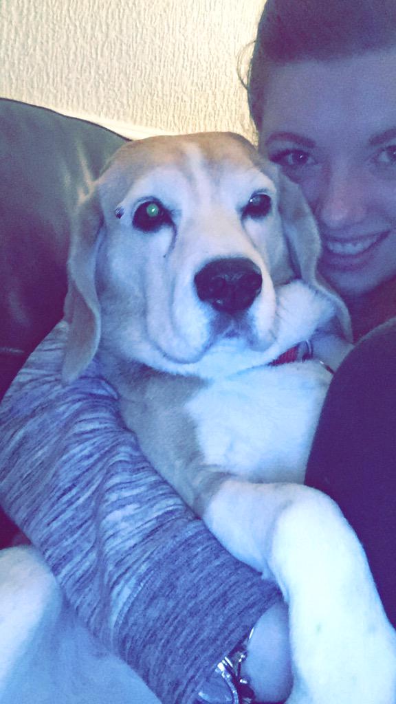 PoppyDogBeagle's tweet photo. Sofa snuggles 😍😘 http://t.co/RJgClZUP8W