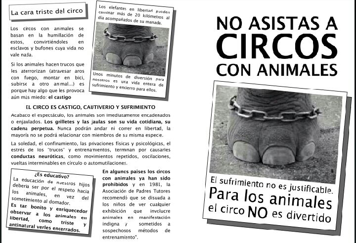 HispaniaVerdee's tweet photo. Para los animales, el circo no es divertido.
#NoAlCircoConAnimales
#StopCircoConAnimales
#StopMaltratoAnimal http://t.co/BAuiTktnBo