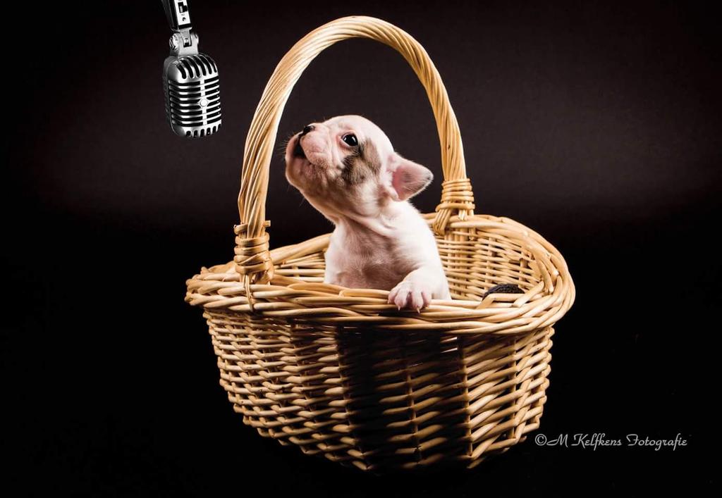 PinkChocoCandy's tweet photo. #singerz http://t.co/j4n4IsP51w