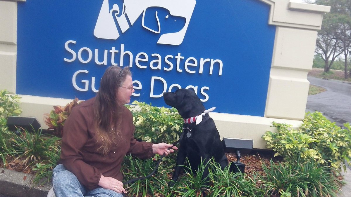 JPPrincessjp's tweet image. Raining hope it clears up for Southeastern Guide Dog walk-a-thon 930 am Baldwin Park Saturday #SupportGuideDogs
