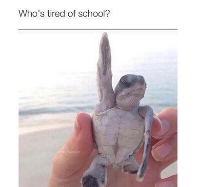 RubicelyCarrera's tweet image. 🙋🙋🙅🙅 #springbreakk😴😴😊😊