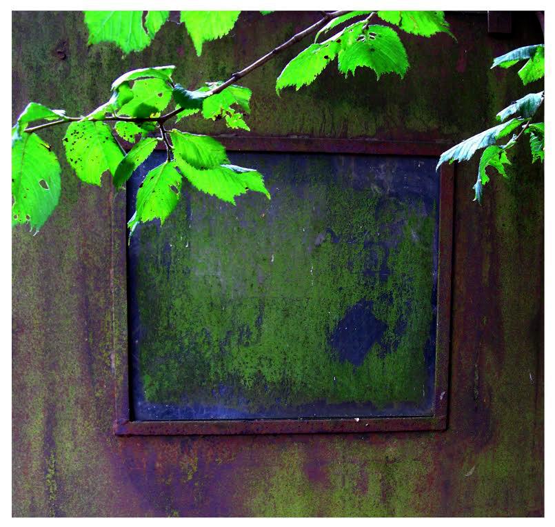 isabelhoffmeyer's tweet image. #InspiredByColour @AdobeNordic