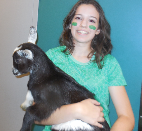 $1388.00 raised for goats in Haiti at our spirit assembly today. Way to go!  One of the stars: GIZMO the baby goat.