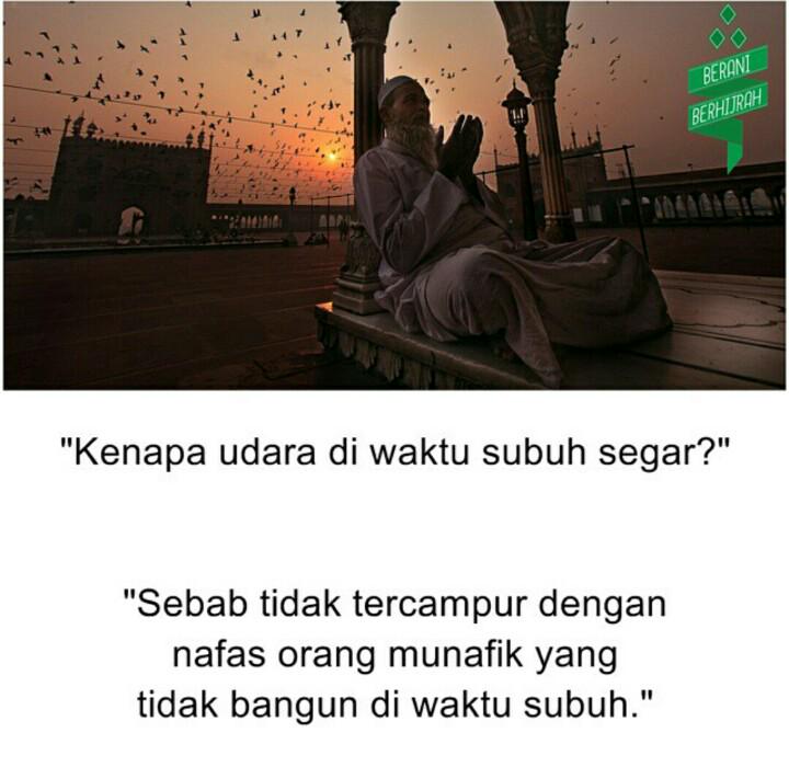 PejuangSubuhJKT's tweet photo. Ini dia sebabnya, udara di waktu subuh lebih segar dibandung waktu lain @PejuangSubuh @PejuangSubuhBdg #5WT1 http://t.co/EsZ4VMS2tS