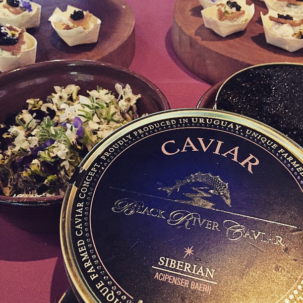 MichaelTusk's tweet photo. Thank you Black @rivercaviar for the generous donation to Taste of the Nation yesterday. @nokidhungrysf @QuinceSF http://t.co/Dg4ZwmOJF4