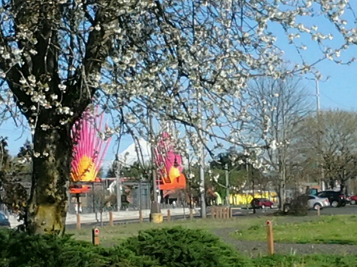 Bootsiesgirl2's tweet photo. Spring 2015 in #RockwoodOR with lightrail stop and #Mt.Hood. Photo by #SusanMoore @Bootsiesgirl2. http://t.co/CLMwU9ahhr