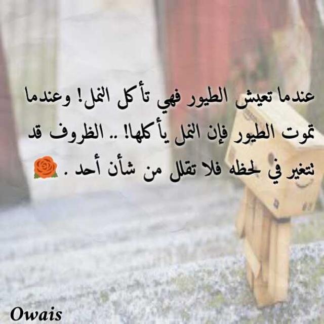 نصر العويسي (@alowaisi31) on Twitter photo 