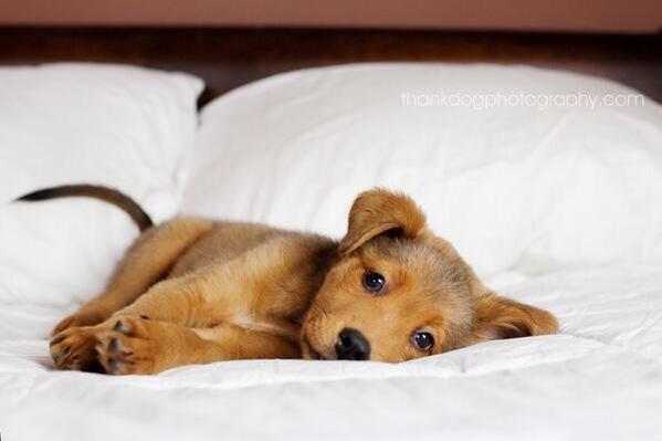 まだベッドでゴロゴロ♡一緒に誰かゴロゴロしてー😊