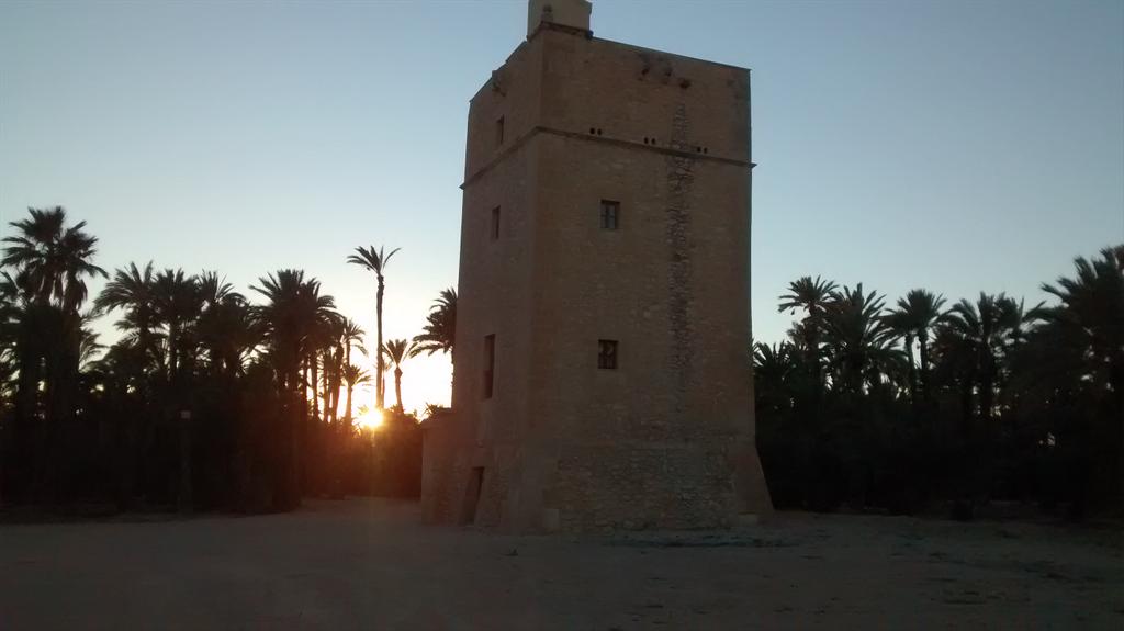 Danaska Alonso tweet media