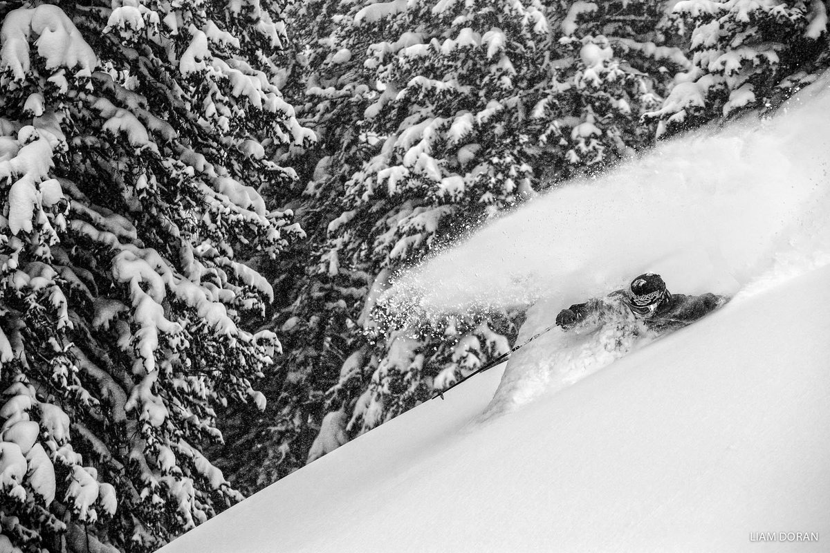 PowderMagazine's tweet image. Overhead conditions at Aspen? Yes, please. Skier: TJ David. Photographer:  Liam Doran