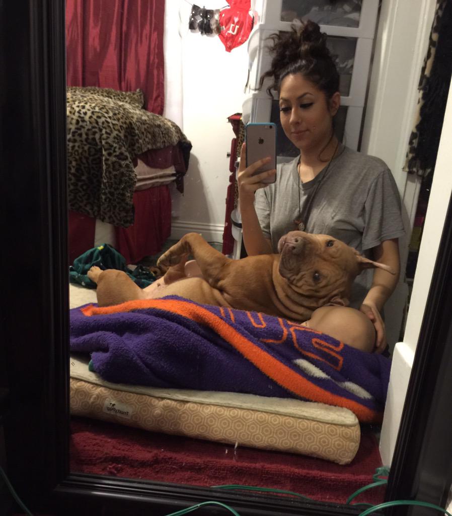 LizzyLaChingona's tweet image. Rest In Peace Baby Girl 😢💔 I'm already missing you so much‼️ #pitpull #13yearsold #heartbroken #showyourpits