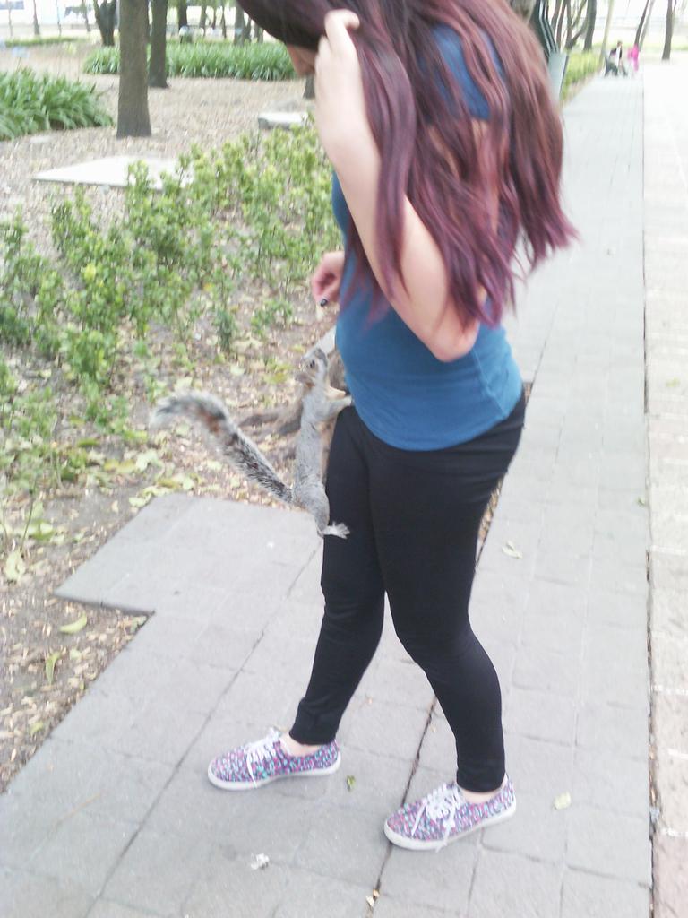 amrbts's tweet photo. QUIERO UNA ARDILLA SON TAN BEIAS Y Y YYY SLGJDJ http://t.co/AobMe7a92D