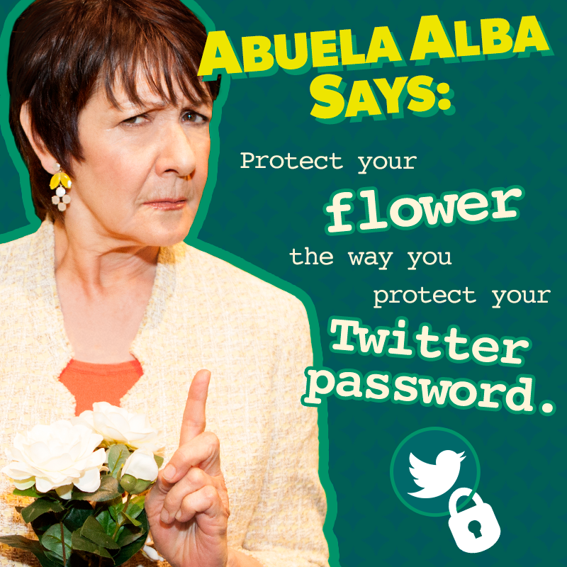 travisgarlbr's tweet photo. "@CWJaneTheVirgin: Don't share it with just anyone. #AbuelaAlbaSays #SinlessSunday http://t.co/lWfN6iXiHv"@ivonne_coll