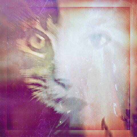 Enlightenedmoma's tweet photo. Catsie #ArtWorksConversations #colour_collective #DigitalTransformation #CreativeConfidence #contemporaryart #design http://t.co/q1SpQl8qei