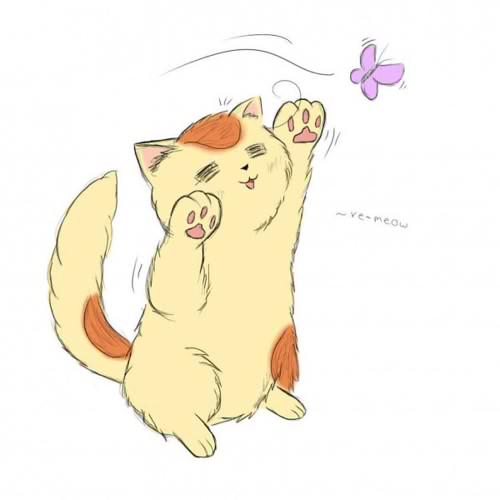 cat chasing butterfly