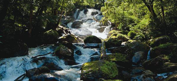 TravelReportMX's tweet photo. Fin de semana y #ValledeBravo esta bien cerca de #CDMX te convenceré con esto: http://t.co/aQRQ0omQl6 @EdomexTurismo http://t.co/xvwjD5knXp