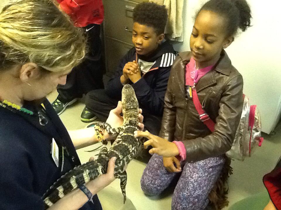 AJMEDIAScholars's tweet photo. @ZooATL #NightCrawlers #ZooTechnology #NightVision #FCSVanguard @OakKnollOwls @HEHElementary http://t.co/dOEYs886mY