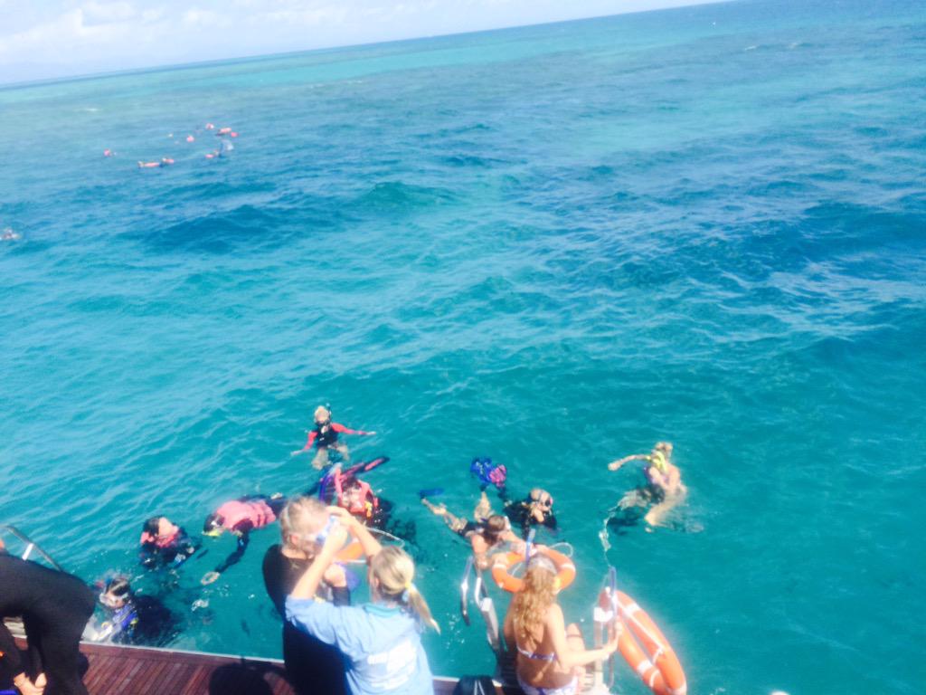 perkinsm14's tweet photo. #ccb2g great day on the reef - underwater selfie sticks - really? http://t.co/R7t8EQXwL5