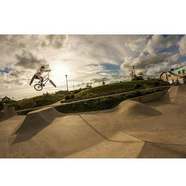 MaverickSkate's tweet photo. @kona_hellier at Parkfield Skatepark in Paignton. Photo by Jason @fo0man Colledge #BMX #parkfieldskatepark #maveric… http://t.co/dGBH6Oau9p