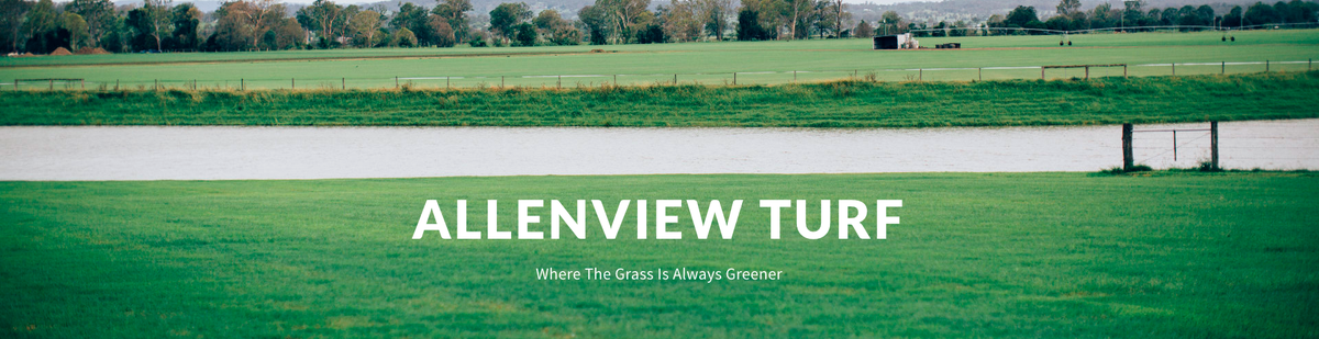 Allenview Turf (@AllenviewTurf) / Posts / X