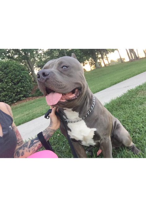 My baby boy http://t.co/f5m7BOL3ez