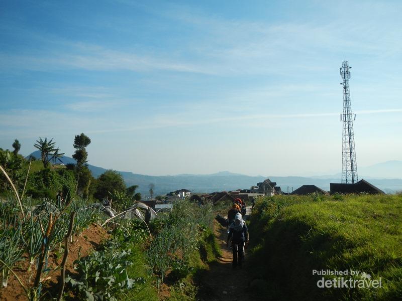 detikcom tweet picture
