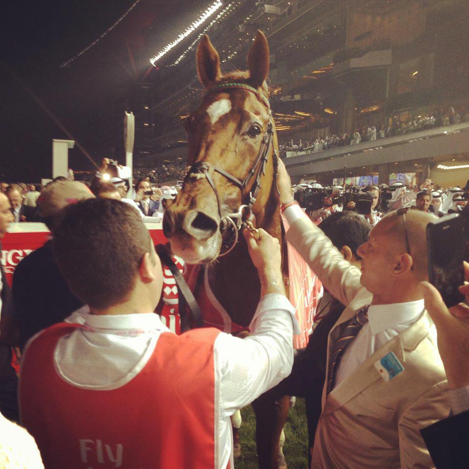janemotion's tweet image. Finally  #DubaiWorldCup day. Wishing #MainSequence the best of luck in the Sheema Classic. Flashbacks to DWC '13