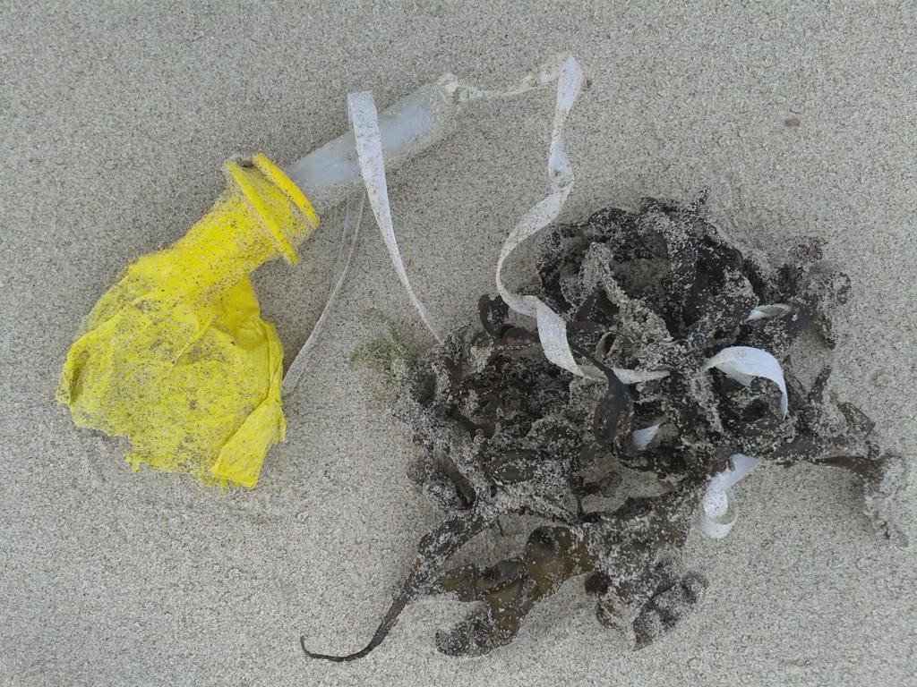 BallonOpStrand's tweet photo. #BallonOpStrand nr.310
#dezeekust #ballon #ophetstrand #zwerfie
Neem je ze mee #Fjoertoer lopers?! http://t.co/ZqwCxX3y9R