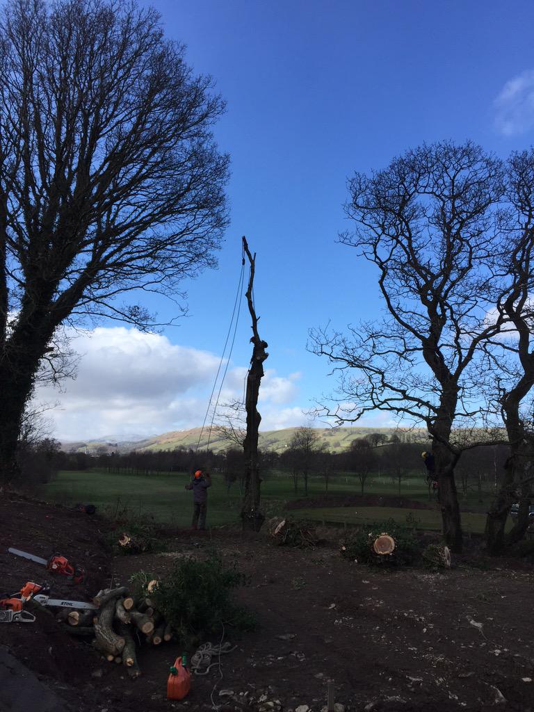 @CarusGreensDept <a href="/CarusGreenGC/">Carus Green</a>  
<a href="/pmhtreesurgeons/">Paul Hodgson</a>