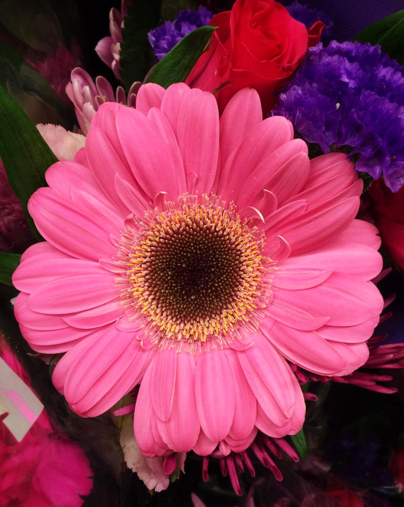 Spring time? Still snowing in Boston!