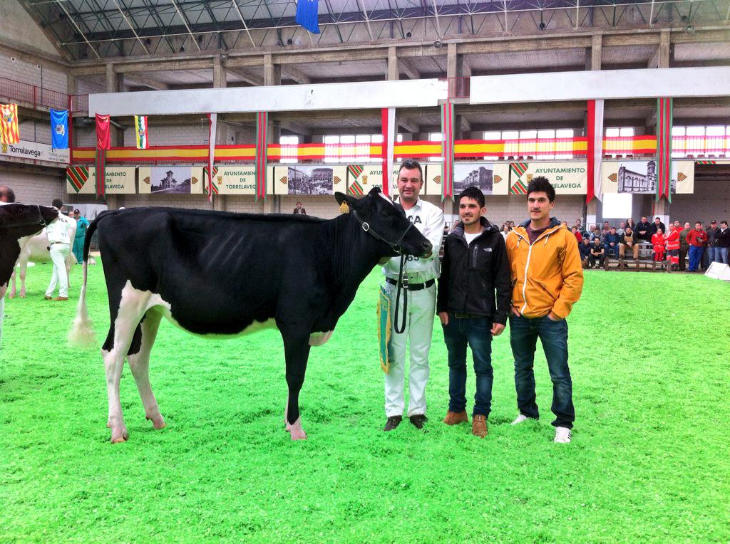 afca_es's tweet photo. Ternera Campeona http://t.co/hpsS2fnRoy