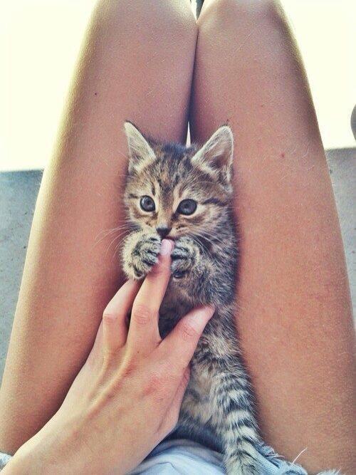 iscdievken's tweet photo. Guten morgen 🌿💕 http://t.co/I1M2YjPGRm