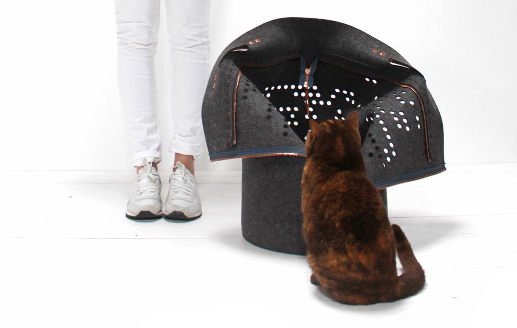 Snorhaar tweet media