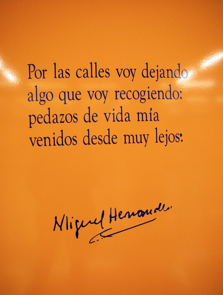Carmen (@flopy_cbj) on Twitter photo 