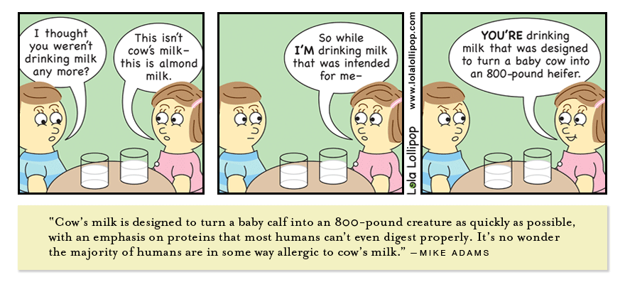 Vegomania's tweet image. Easy and healthy way to avoid gaining up to 800 pounds (~350kg) :) #humanityevolves