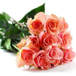creaturocraig's tweet photo. http://t.co/Ex3QxzdoTN
flowers for easter http://t.co/PLW5JPZIEn