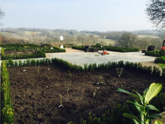 mgs gardening (@w78mark) on Twitter photo 