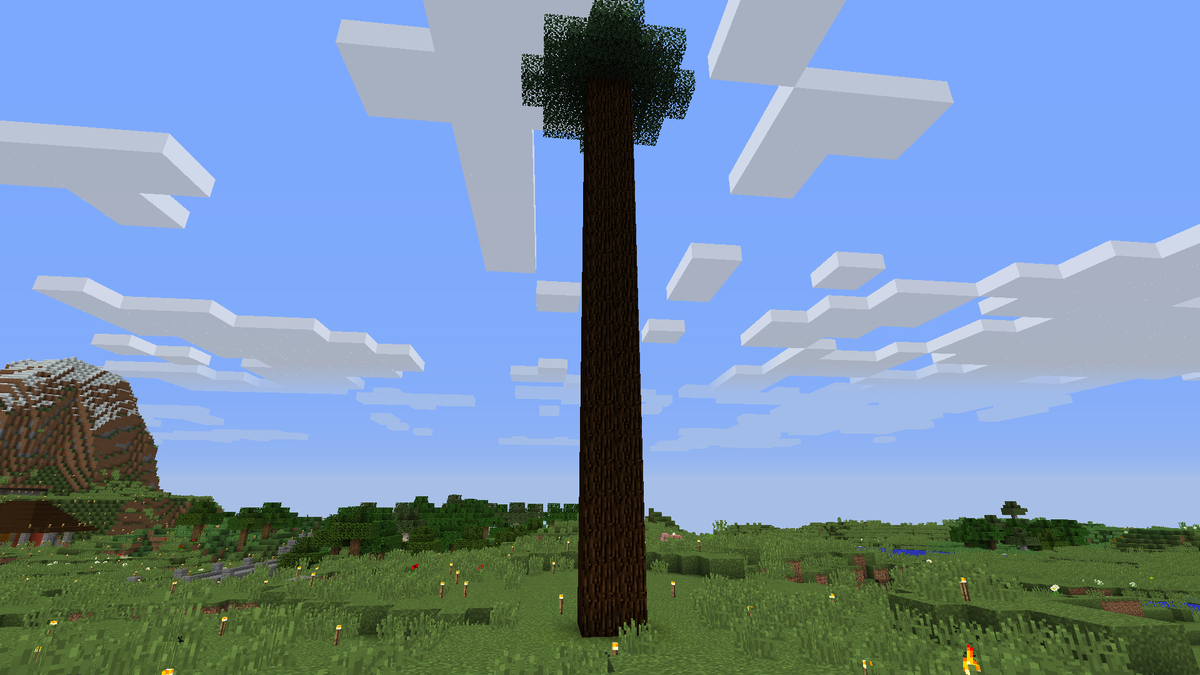 Blingb0t's tweet photo. This fresh spruce tree that I bonemealed is unacceptably large. :P #Minecraft #Funkcraft http://t.co/44gj4FnMw2
