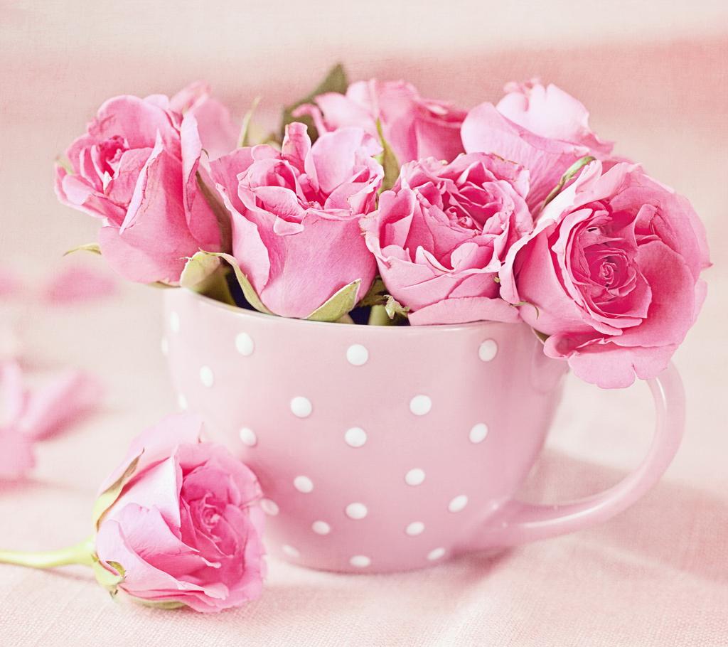 @ARKANalabbad 
معك طعم المساء غير ومعك حتى
السوالف غير احس بروعه الدنيا
واحس ان الزمان بخير
مسـ الخيـرات ـاء يالغالية