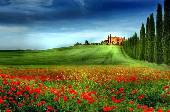 andrea_4520's tweet photo. Tuscany http://t.co/LPbqU6H1sx