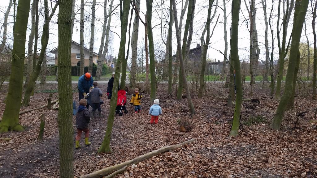 BosrandAlmere's tweet photo. Nog een foto van vandaag http://t.co/7MIqcvi325