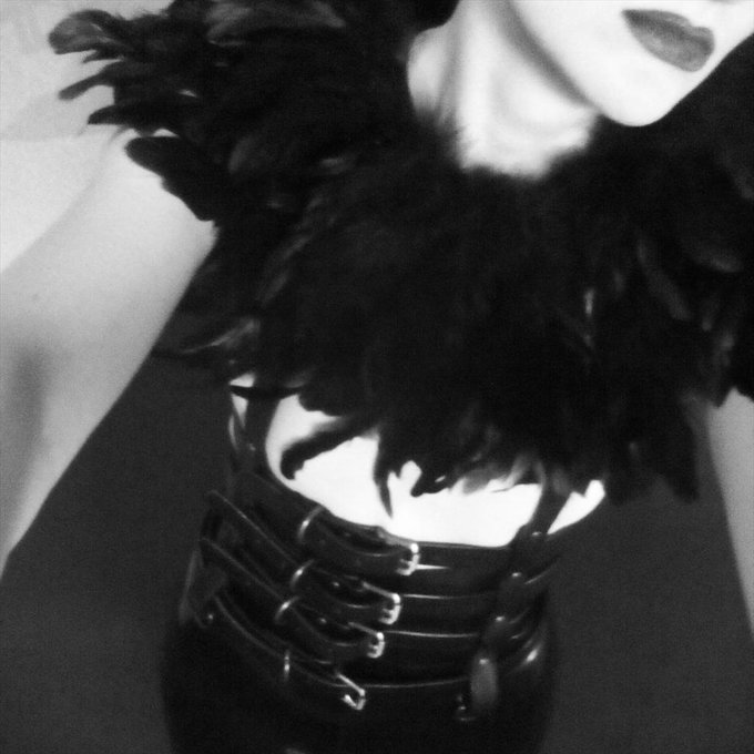 Exceedingly cool fashion shoot with @MissLuciAlice  today!

#feathers #harness #altfashion #goth #witchhouse