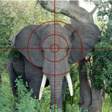 Chris Thiry tweet media