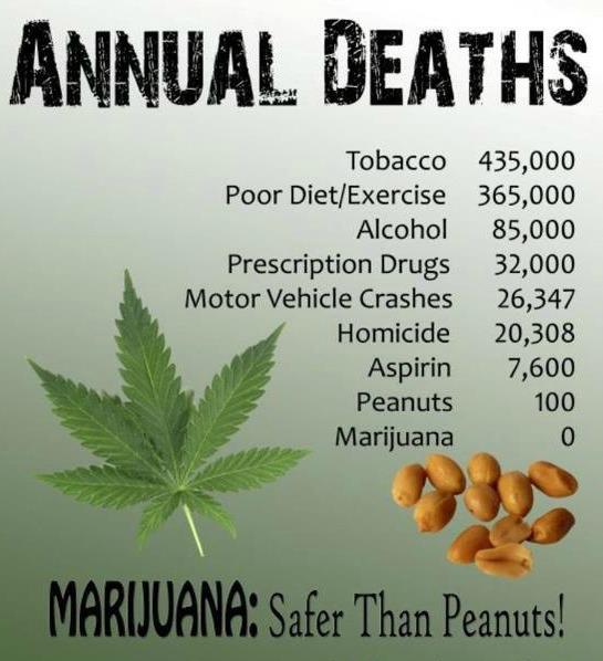 LegalizeLa318's tweet photo. #legalizemarijuana #MakeItHappen #PassItOn #Freedom http://t.co/v9DanomO9j