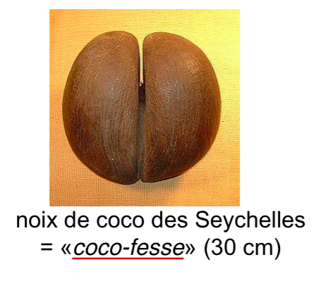 Payepasdemine's tweet photo. La botanique, ma passion #Love #botanique #PAES #Cocofesse http://t.co/YAMNP6JmCb