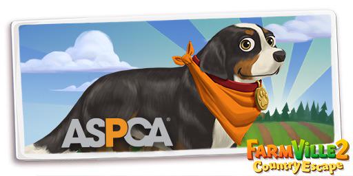 IsabelleRoeting's tweet photo. Nouveau chien @FarmVille2, sauve des animaux sans abri ! #Farm4Good #ComeToTheirRescue http://t.co/CFYskhZQBq http://t.co/rmrcjdjZ3g