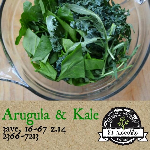 ElLocalito's tweet photo. arugula y kale! Producto fresco y local! 3ave, 16-67 z.14 o para servicio a domicilio 2366-7213 #guatemala #guate http://t.co/ySThspZWFR