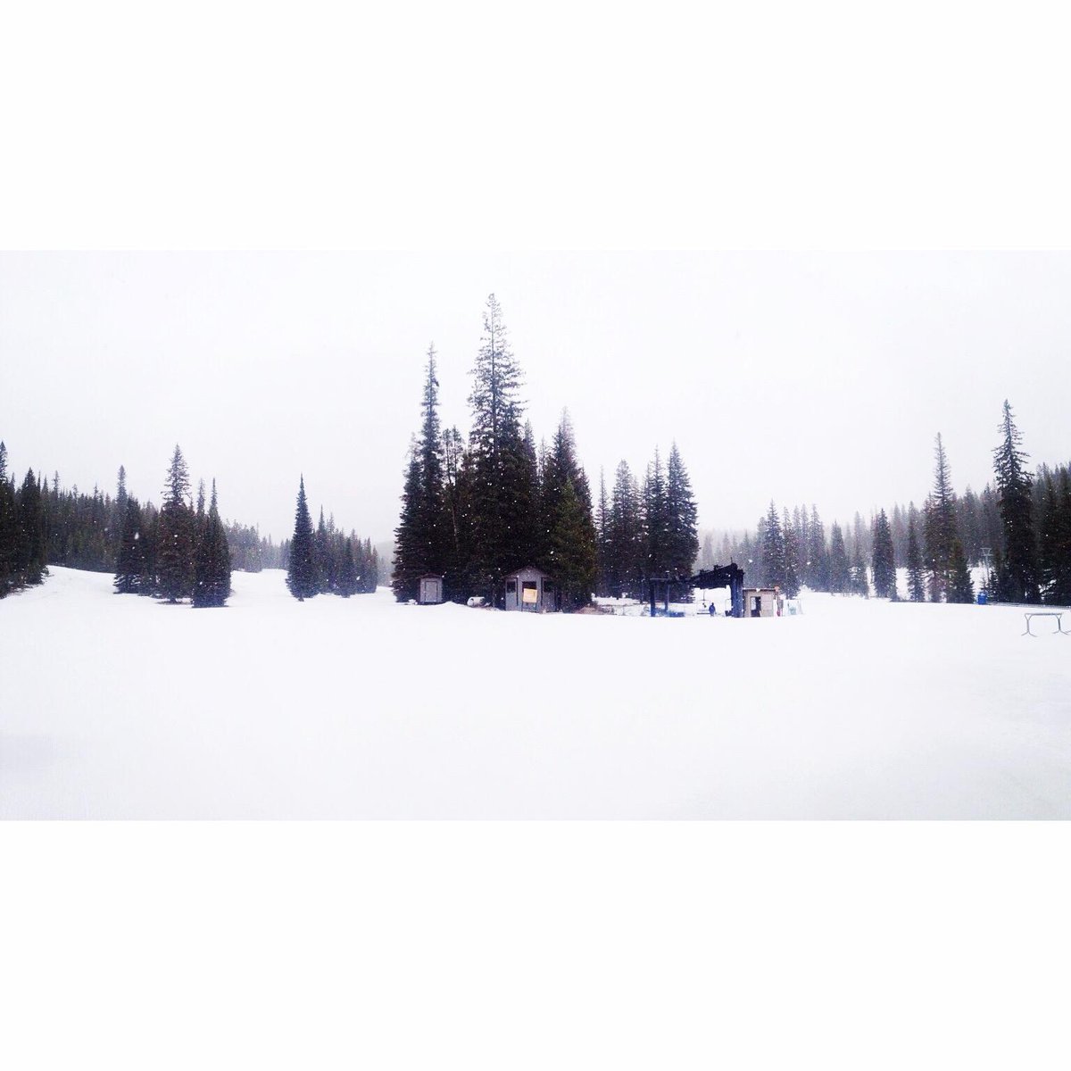 Discovery Ski Area tweet media