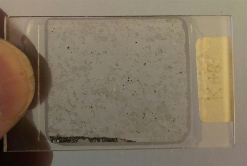 EarthSciPlymUni's tweet image. @Profiainstewart #ThinSectionThursday without a microscope! Breaking all the rules this #PlymAppDay.